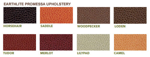 Promessa Upgrade Vinyl $300 per table $49 per accessory